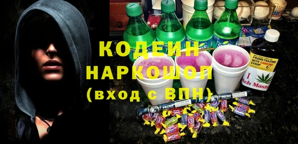 шишки Вяземский