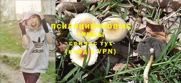 мдма Валдай