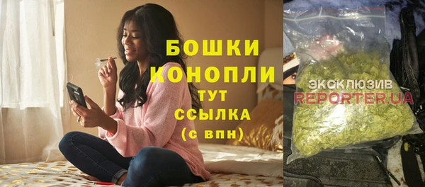 шишки Вяземский