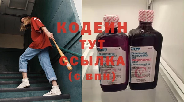 шишки Вяземский