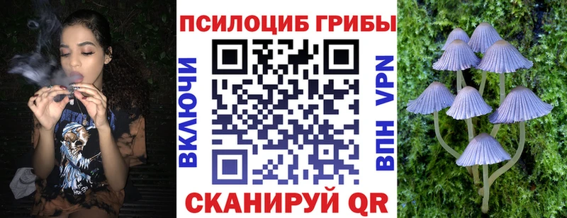Псилоцибиновые грибы Magic Shrooms  Десногорск 