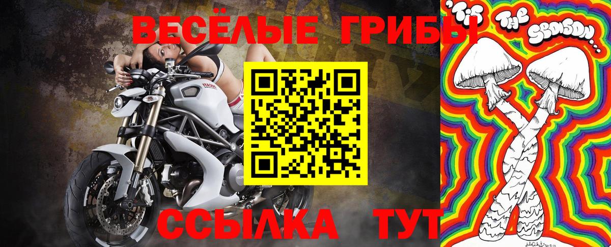 Галлюциногенные грибы Magic Shrooms  Вход с VPN  Десногорск 